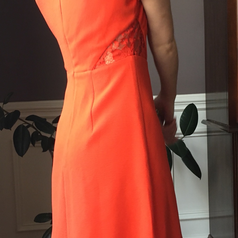 Business Casual Red Dress